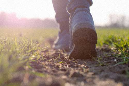 LedaMedvetet-de-10-dummaste-misstagen