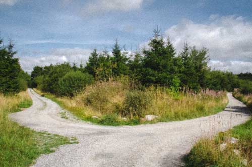 LedaMedvetet---jag-vet-inte