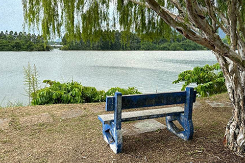 LedaMedvetet-utvecklas vidare