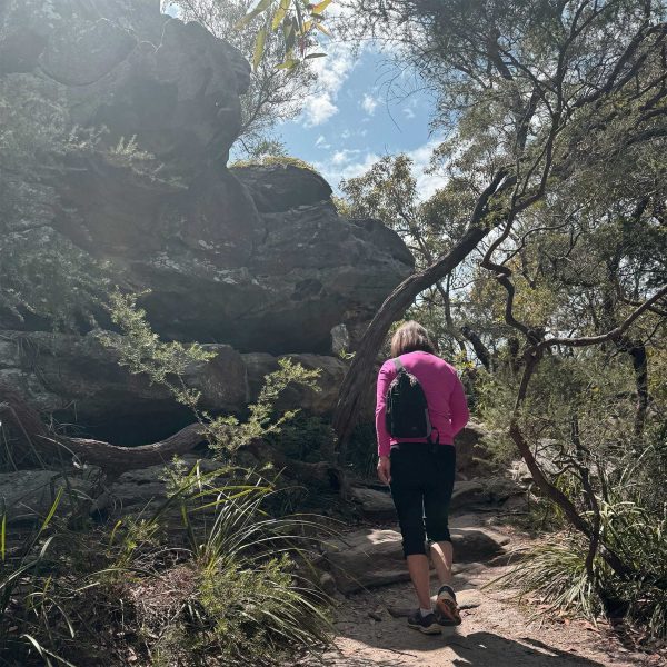 LedaMedvetet---det-här-är-mer-än-en-kurs